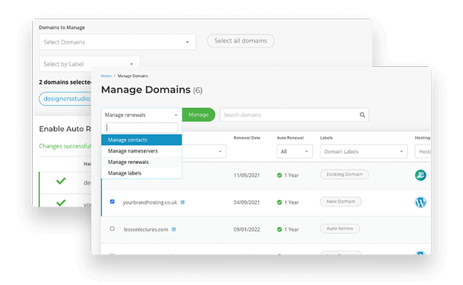 Managing domains in bulk with our agency web hosting