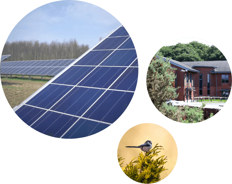 Our green business hosting with solar panels