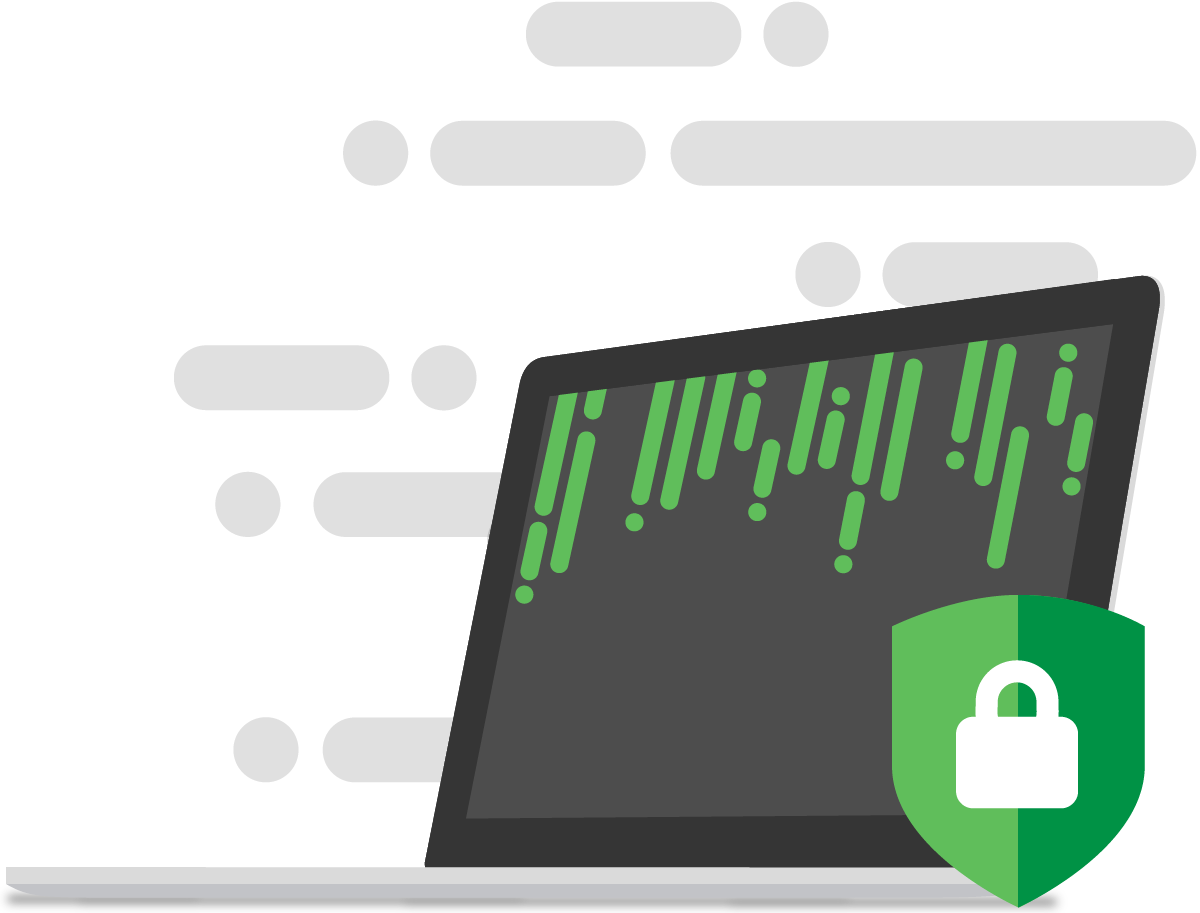 Enterprise-level website security