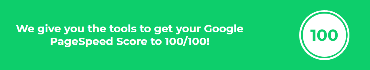 Google Pagespeed Score 100