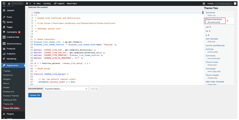 Paste the copied JSON code into the WordPress Theme Editor.
