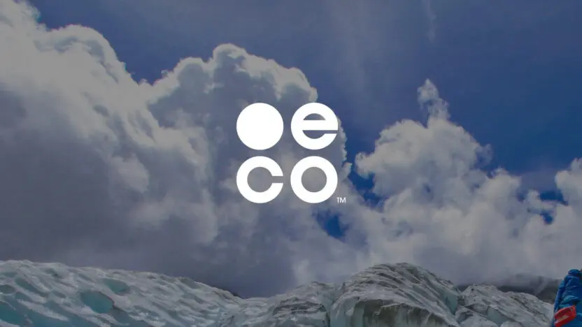 eco domains interview with the company