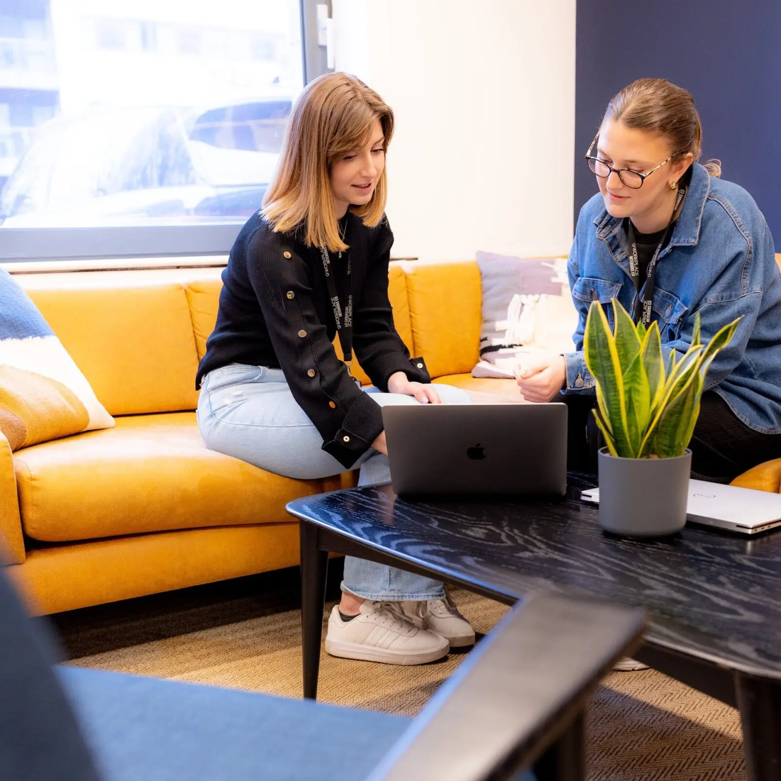 Photo of COBA staff member receiving a brief from a client