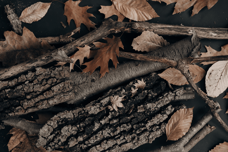 An autumn one-click installer update