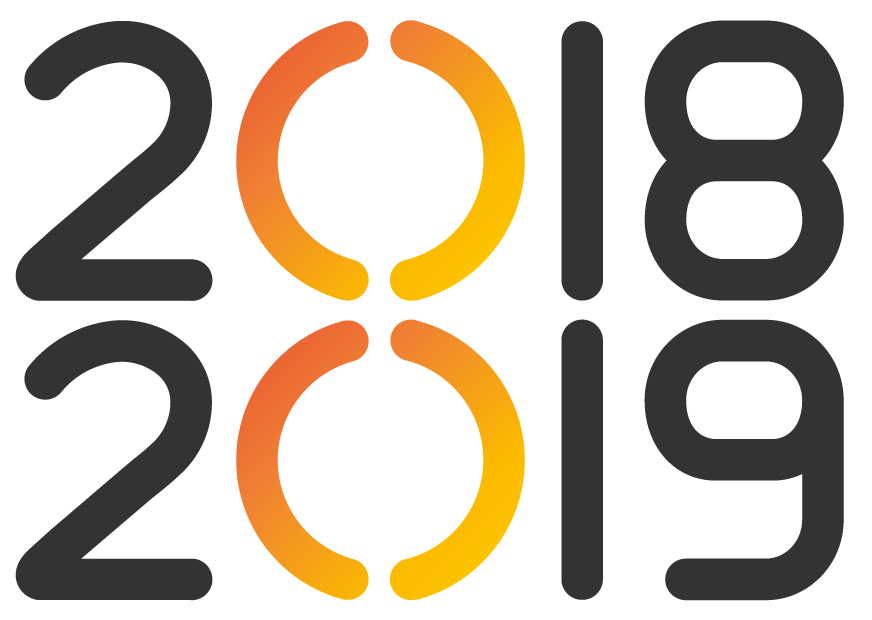 2018 to 2019 20i logo
