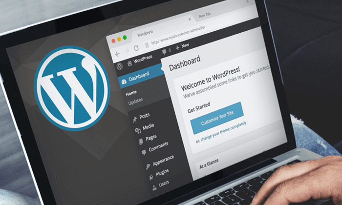 Man using WordPress