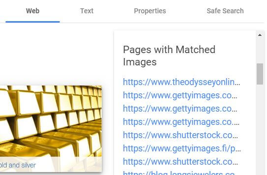 Google vision showing matched images