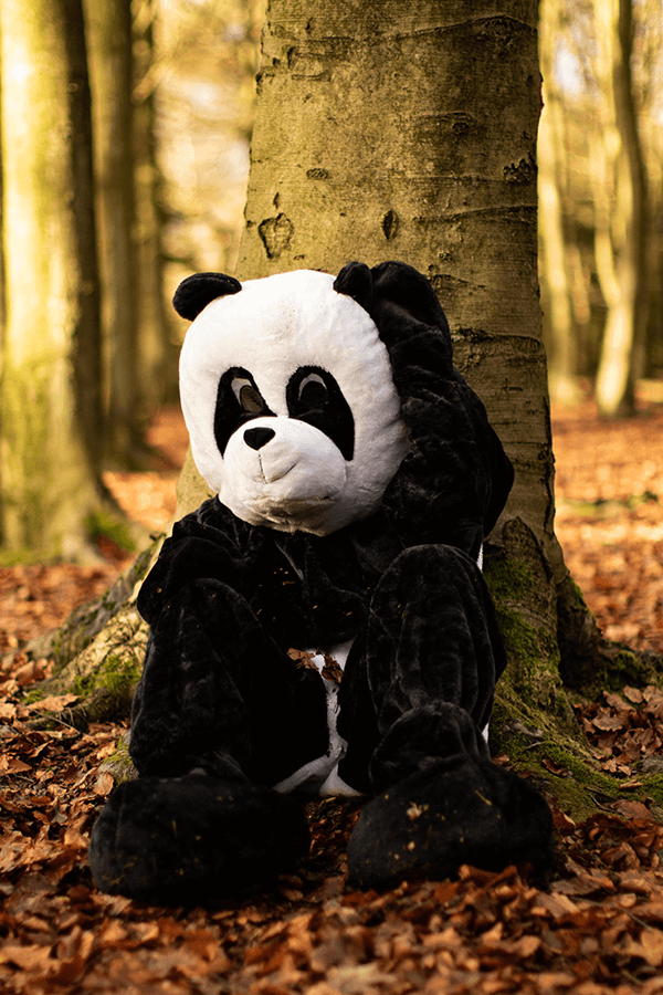 Panda costume in wood