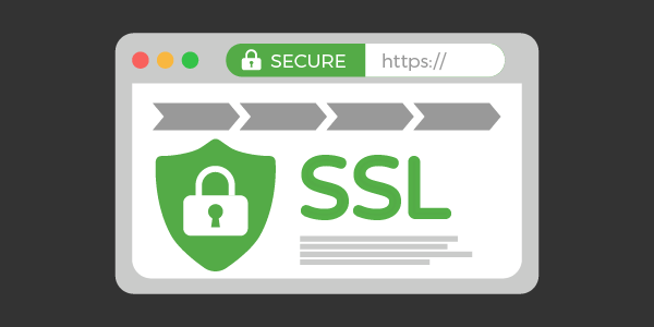 Easy WordPress SEO: install an SSL certificate