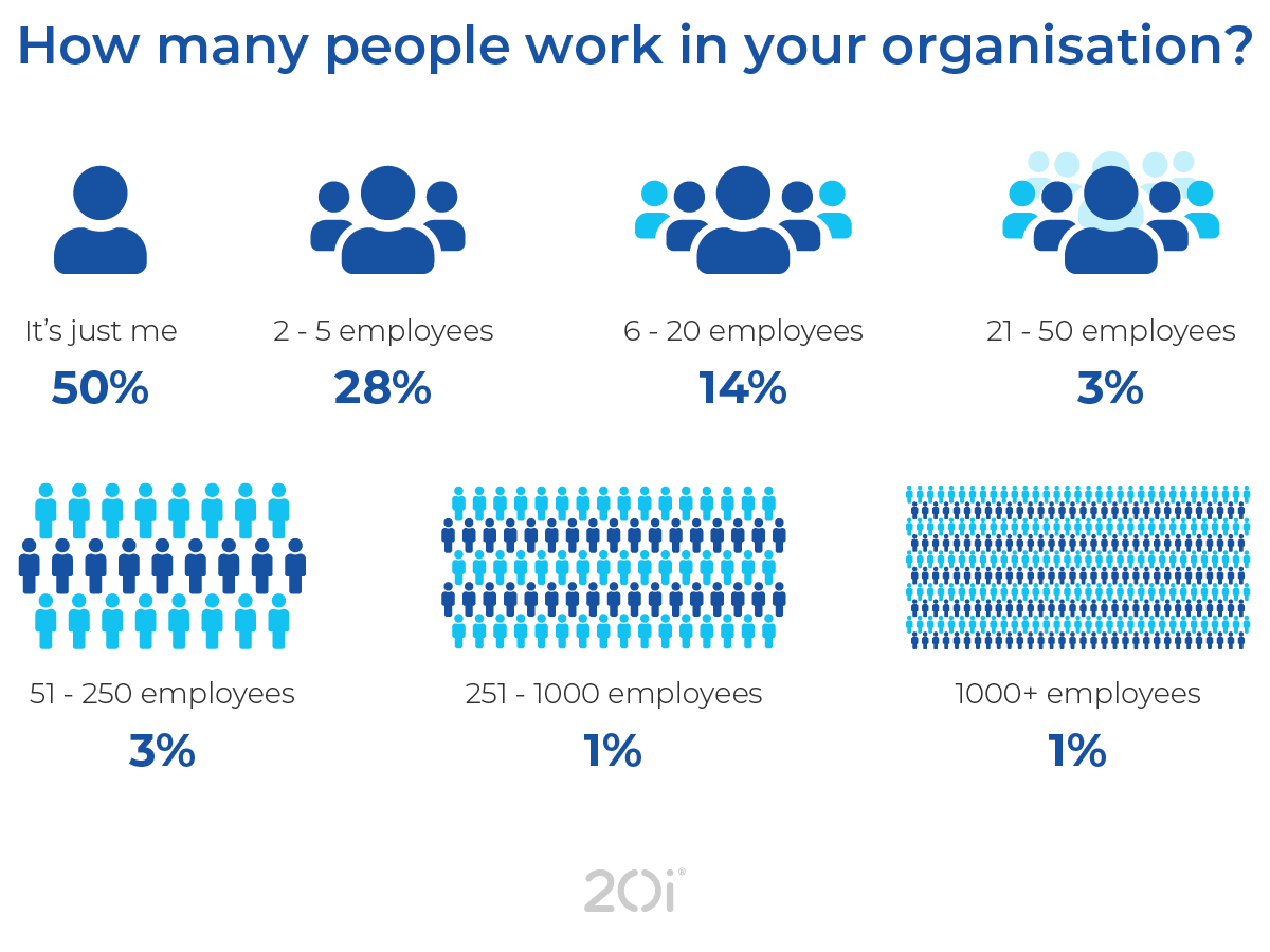 Web design stat: size of organisation