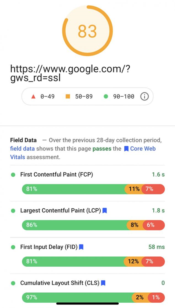 PageSpeed Insights report, used for testing website speed