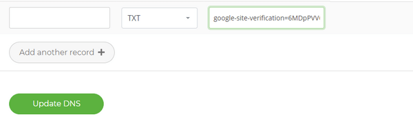 Adding a TXT file to My20i DNS settings to verify your website