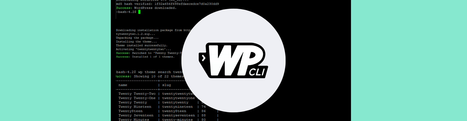 WP-CLI getting started guide