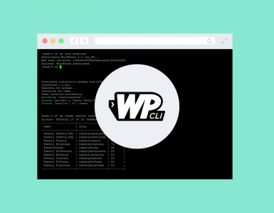 WP-CLI getting started guide