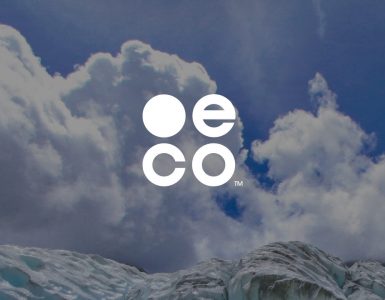 eco domains interview with the company
