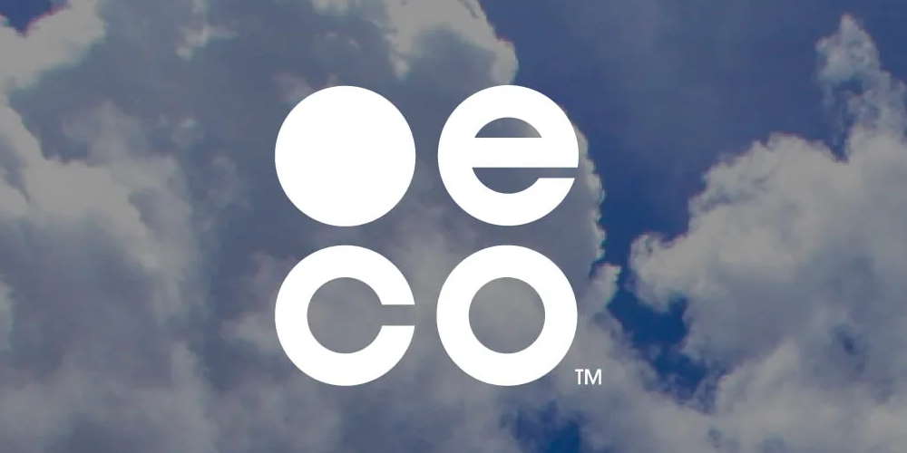 dot eco domains interview with the company