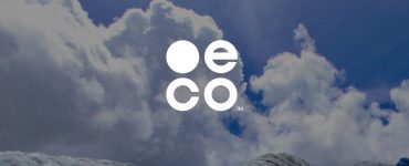 eco domains interview with the company