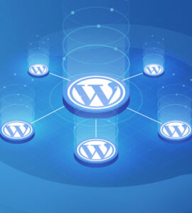 WordPress Multisite guide, setup and use cases