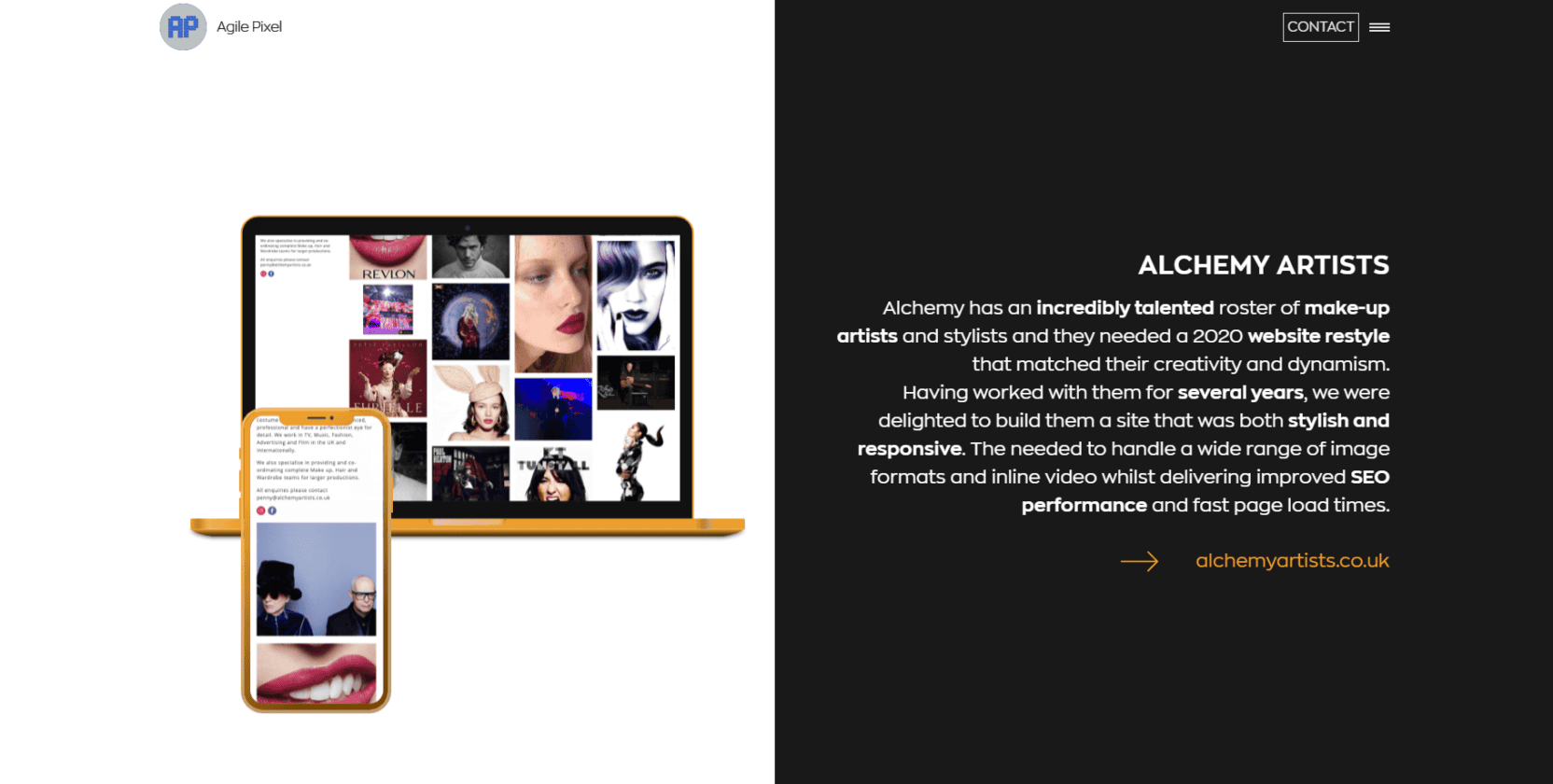 Web Hosting Case Study - Agile Pixel Web Development | 20i