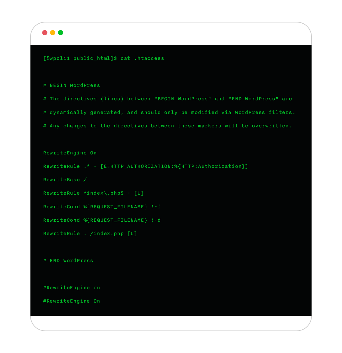 ssh view file contents - cat file
